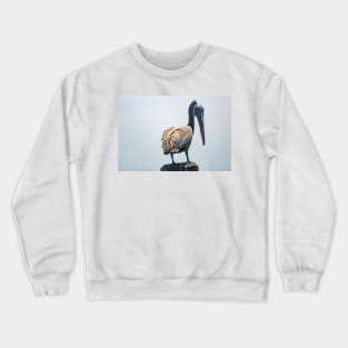 Brown Pelican in Calabash Crewneck Sweatshirt